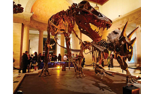 Natural History Museum LA: Entry + Fierce! The Story of Cats Fierce! The Story of Cats Special Exhibition - Weekends