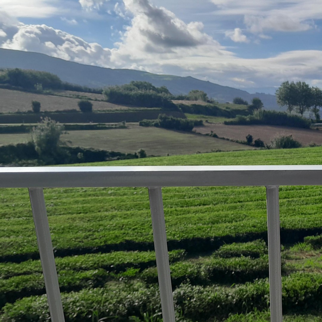 Colagem de mídia