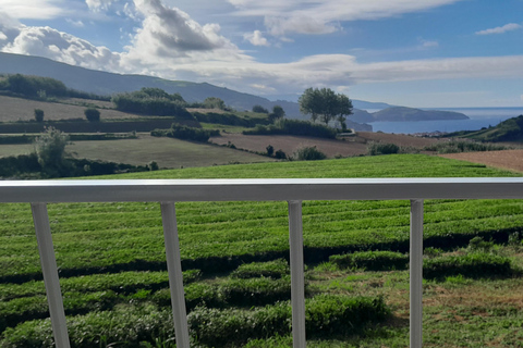 Visite de São Miguel, Açores - Découvrez le paradis en 2 jours