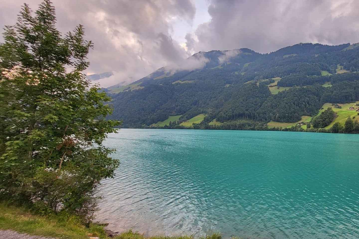 Zurich: Lungern, Brienz, Thun, Blausee, & Oeschinen Day Trip