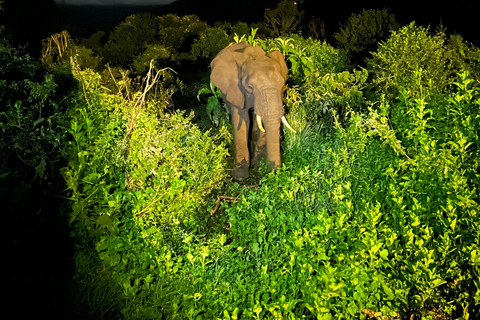 3 jours 2 nuits Safari joint Serengeti et cratère du Ngorongoro