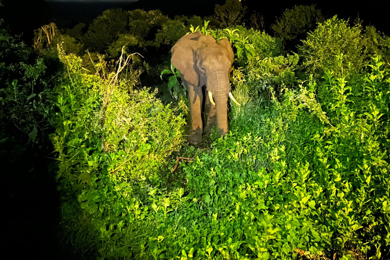 3 Días 2Noches Safari Conjunto Serengeti y cráter del Ngorongoro