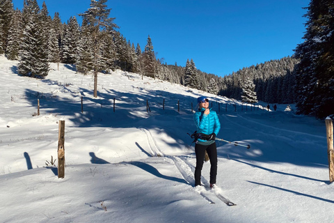 Slovenia: Nordic Backcountry Skiing Adventure Pokljuka: Zajavornik Alpine Meadow