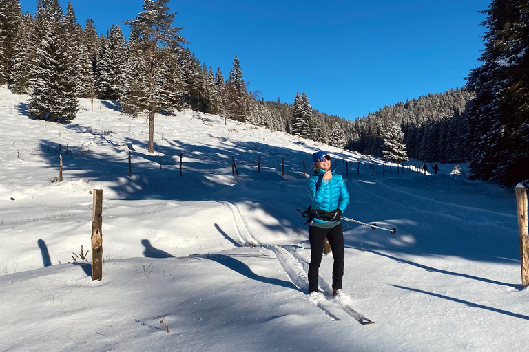 Slovenia: Nordic Backcountry Skiing Adventure Pokljuka: Zajavornik Alpine Meadow
