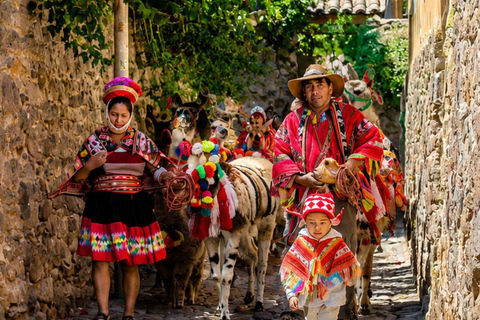 Llama Walk in the Inca Village of Ollantaytambo