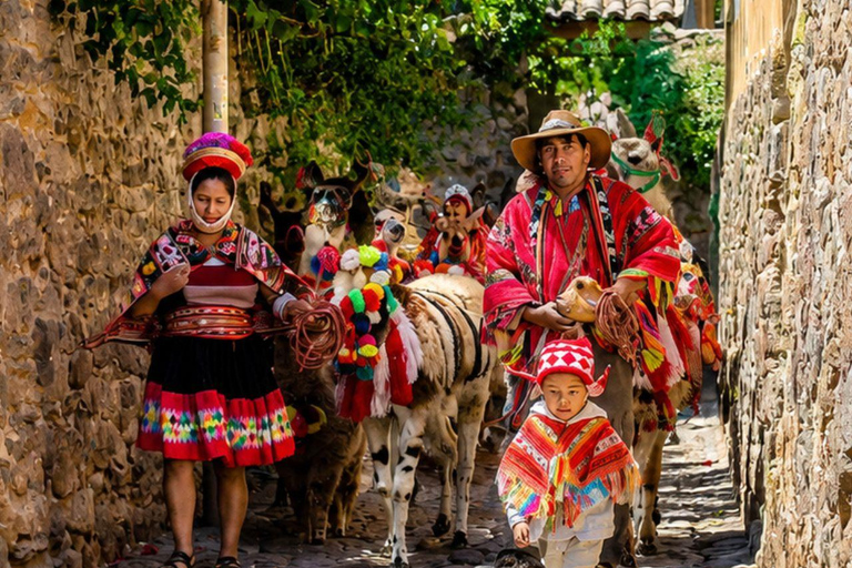 Llama Walk in the Inca Village of Ollantaytambo