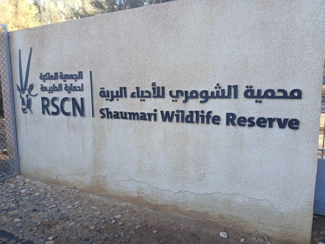 Amman: privé-dagtour naar woestijnkastelen en Shaumari Wildlife