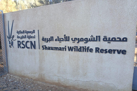 Amman: Desert Castles Shaumari Wildlife Private Day Trip