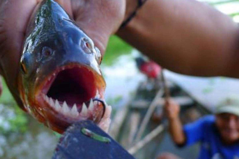 PIRANHA FISHING IN TAMBOPATA