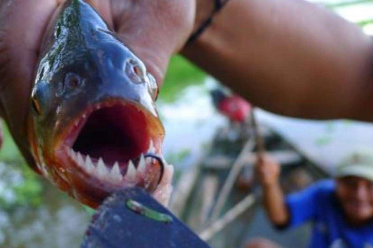 PIRANHA FISHING IN TAMBOPATA
