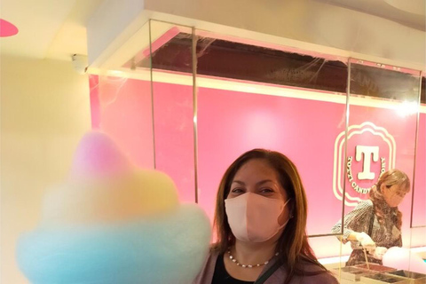 From Narita:Tokyo Layover Tour with Licensed Guide&Vehicle Mini van (UP to 4 PAX)