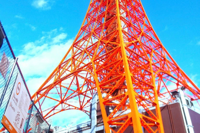 Tokyo Luxury Private City Tour Customizable with Guide