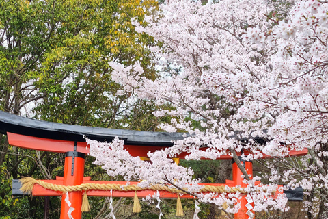 Kyoto Uji: Matcha Tea Ceremony, Tea Museum & Byodoin Temple Kyoto: Uji: Matcha Tea Ceremony, Tea Museum & Byodoin Temple
