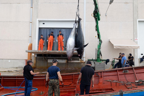 Barbate: Boat Tour to the Almadraba of Conil (Tuna Fishing)