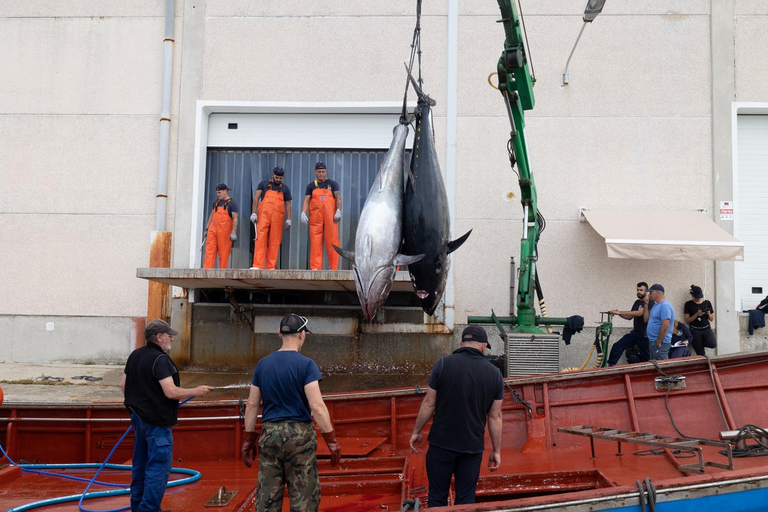 Barbate: Tour en barco a la Almadraba de Conil (Pesca del Atún)