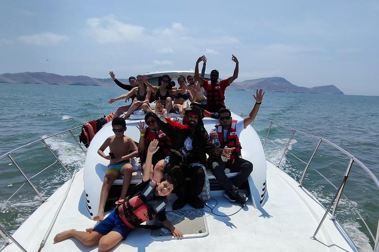 Lima: Tour a Isla Palomino Aventura Marina