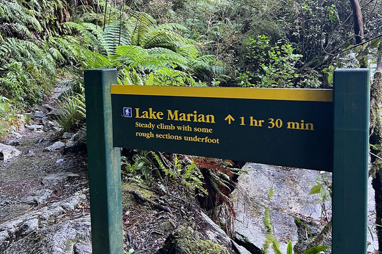 Te Anau: Lake Marian Guided Day Hike with Lunch