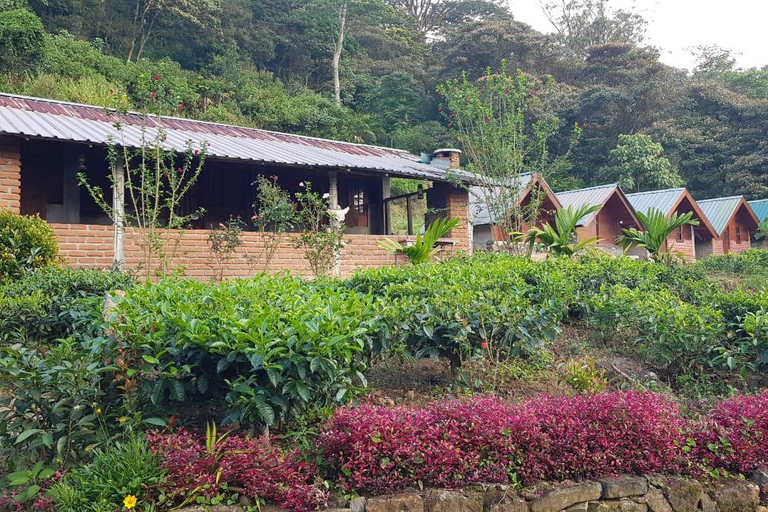 纳克尔斯峰探险和希洛亚村露营 2 日游