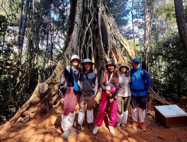 From Bangkok: Khao Yai National Park Jungle Trek with Lunch