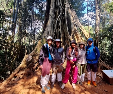 From Bangkok: Khao Yai National Park Jungle Trek with Lunch
