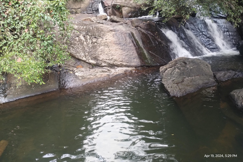 Colombo: Excursión de un día; jardines botánicos de la zona húmeda de Seethawaka