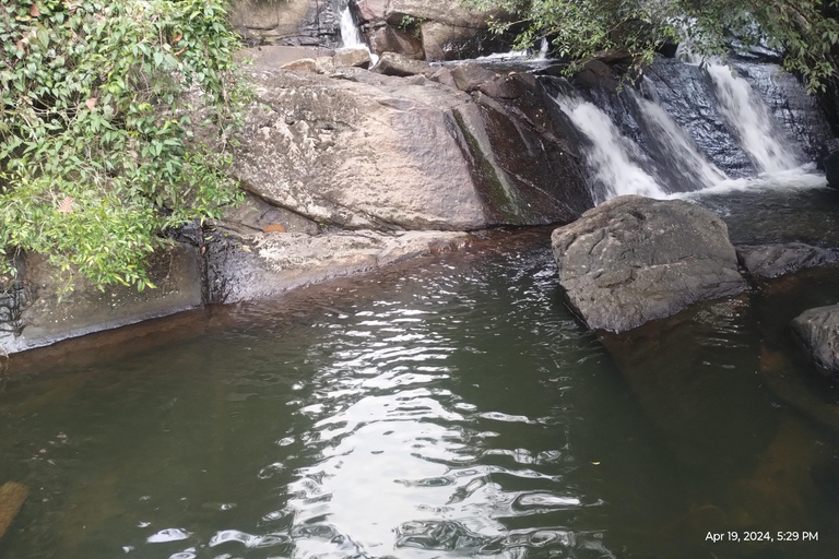 Colombo: Excursión de un día; jardines botánicos de la zona húmeda de Seethawaka