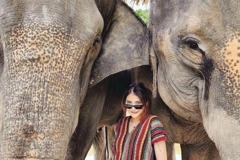 Phuket: Bezoek van een halve dag aan Elephant Jungle Sanctuary