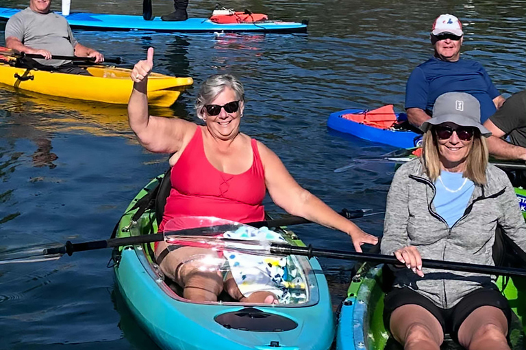 Three Sister Springs: Self Guided Tour- Clear Kayak Rental Kings Bay/Three Sisters: Self Guided Tour- ClearBottom Kayak