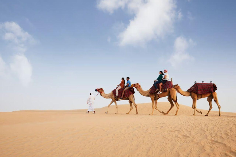 Doha: Inland Sea Tour, 4x4 Desert Safari & All Activities Group Tour with Quad Bike Ride