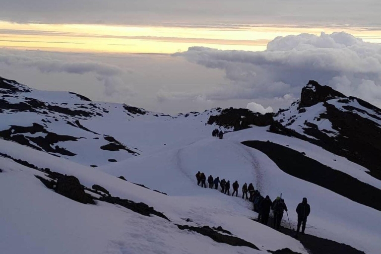 Trekking au Mont Kilimandjaro : 7 jours sur la route MachameTrekking au Mont Kilimandjaro : 7 jours sur la route Machame (7+ personnes)