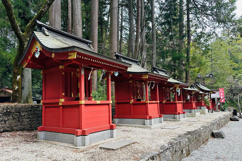 Vanuit Tokio: Privétour naar de berg Fuji met Engelse gidsTokio: Privétour naar de berg Fuji, helemaal naar jouw wensen