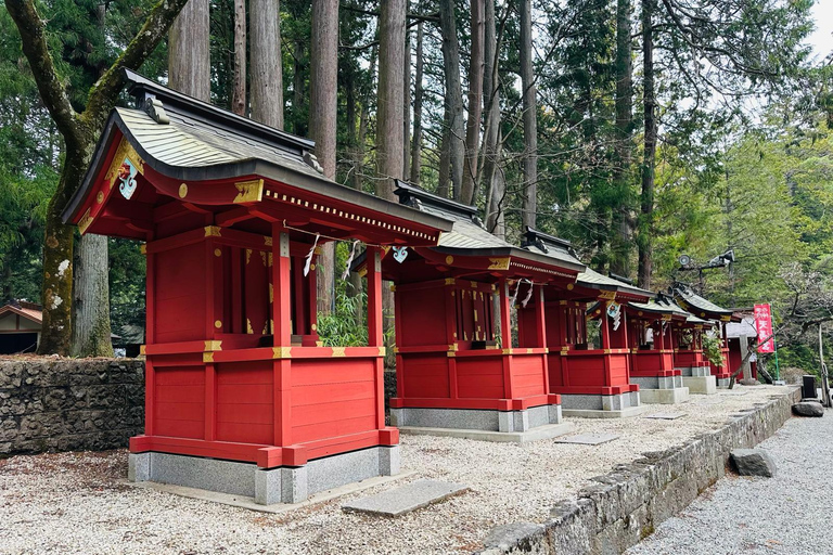 Vanuit Tokio: Privétour naar de berg Fuji met Engelse gidsTokio: Privétour naar de berg Fuji, helemaal naar jouw wensen