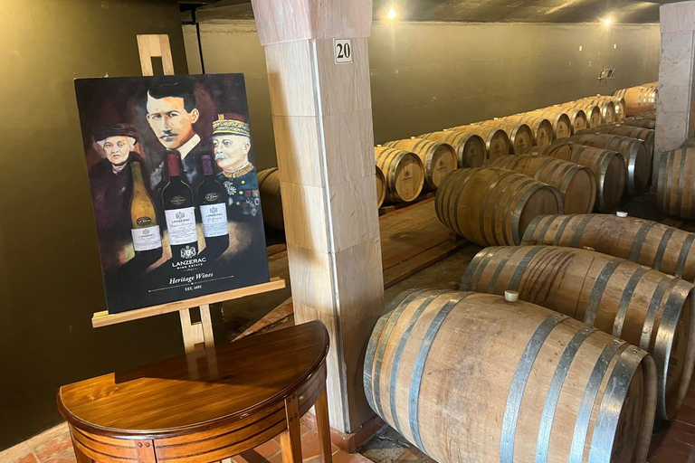 Kapsztad: gepard, spotkanie z żyrafą i wycieczka winiarskaKapsztad: wyprawa z gepardem, spotkanie z żyrafą i wycieczka winiarska