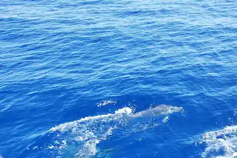 Oahu: Luxury Day Sailboat Charter