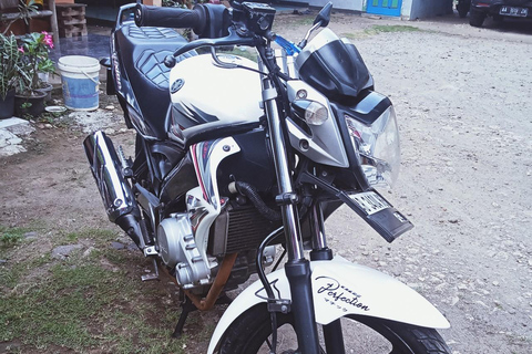 Yogyakarta; Tempio di Borobudur e Prambanan in motocicletta