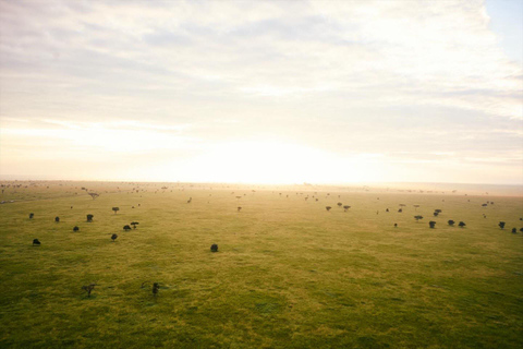 Arusza: 4-dniowe safari nad jeziorem Manyara, Serengeti, Ngorongoro