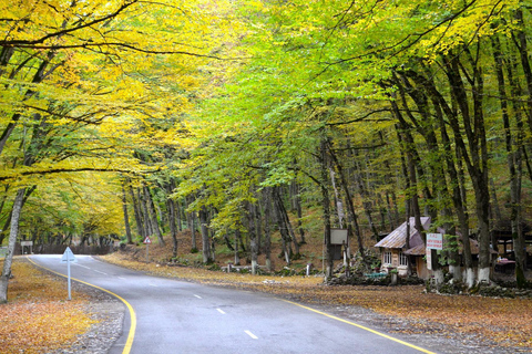 5-Day Azerbaijan Tour: Baku, Shahdag, Gobustan & Gabala Option 2 – Standard Package (5–7 Pax)