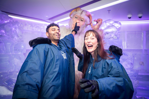 Surfers Paradise: Bilet wstępu do IceBar i napój