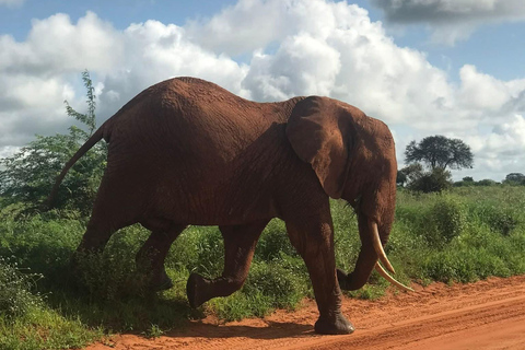 Mombasa: 3-Day Tsavo East/West & Kilimanjaro Views Safari