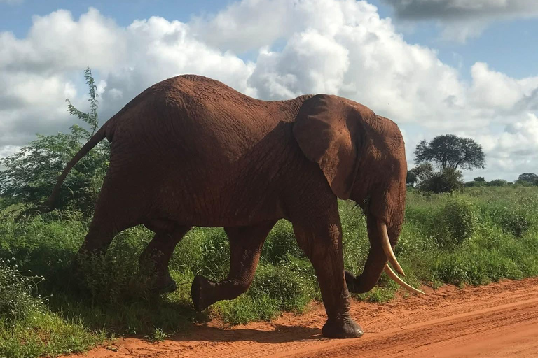 Mombasa: 3-Day Tsavo East/West & Kilimanjaro Views Safari