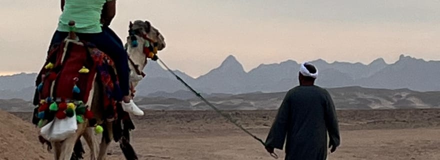 Baie de Makadi : Déjeuner BADU Flavors, fête des chameaux et des bédouins