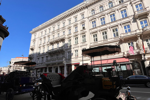 Vienna: Royal E-Carriage Sightseeing Tour incl. Prosecco60 min. Private Royal E-Carriage Tour with drinks