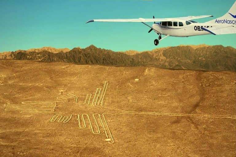 From Ica: Flight over the Nazca Lines