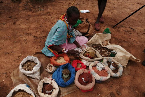 EXCURSION D&#039;UNE JOURNÉE DANS UN VILLAGE MASAI