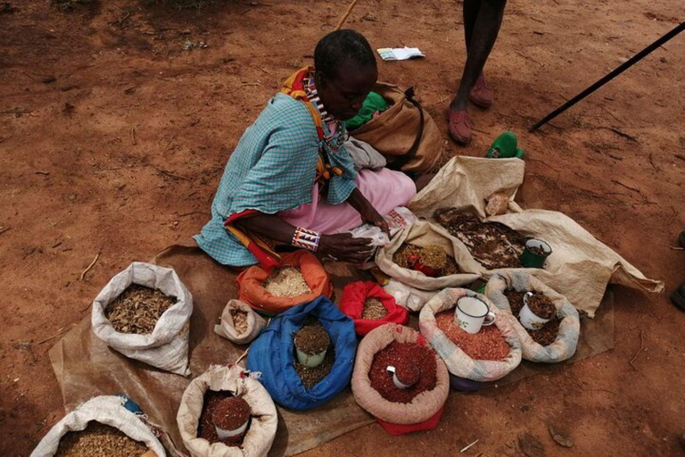 EXCURSION D&#039;UNE JOURNÉE DANS UN VILLAGE MASAI