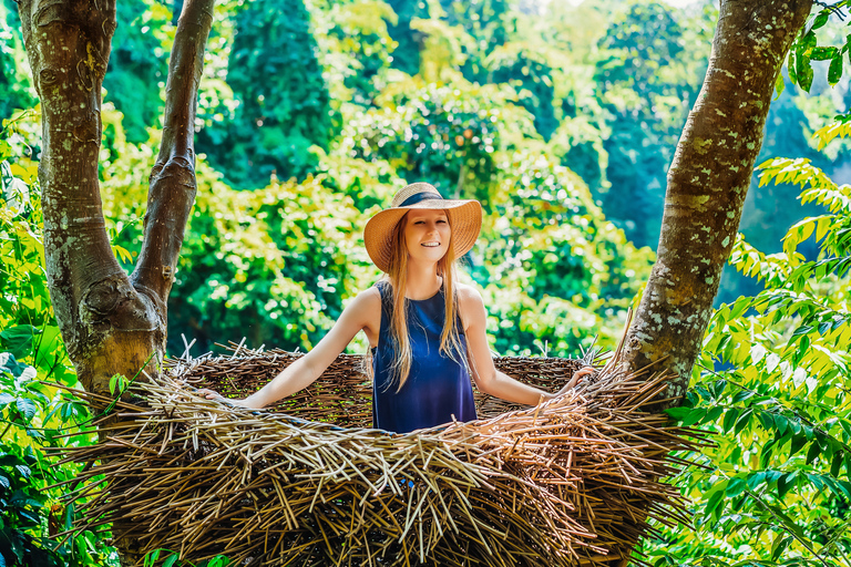 Ubud: tour de las epectaculares cascadasTour de cascadas con arrozal y columpio en la selva