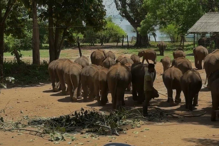 Sri Lanka: 12 días de Aventura Escénica