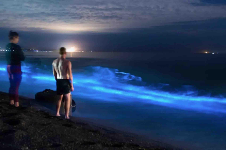 Excursão de bioluminescência - Bocas del Toro