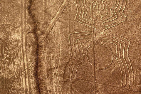 From Nazca: Flight in a light aircraft over the Nazca Lines