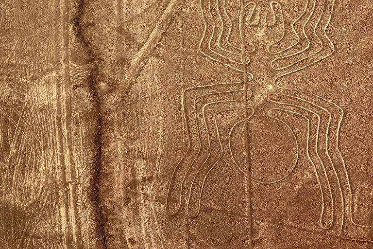 From Nazca: Flight in a light aircraft over the Nazca Lines